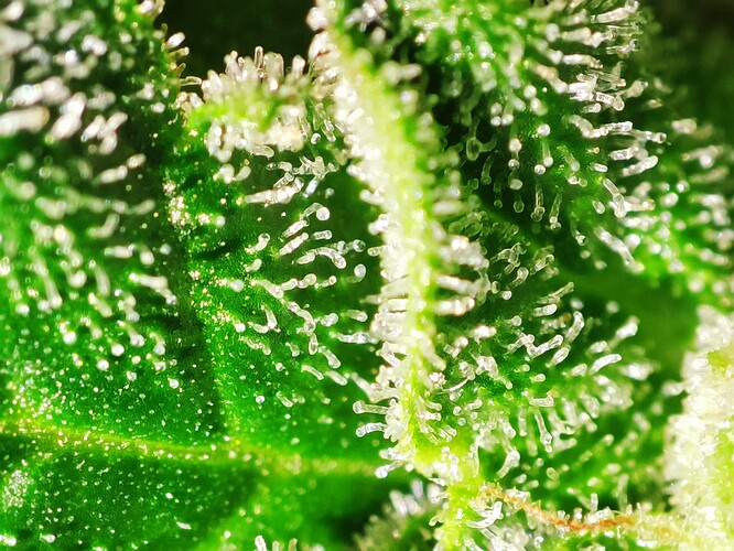 Growreport Bild 12