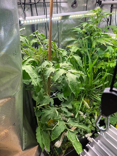 Growreport Bild 43