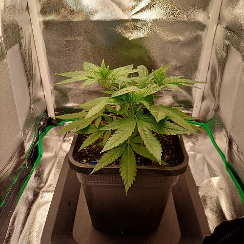Growreport Bild 20