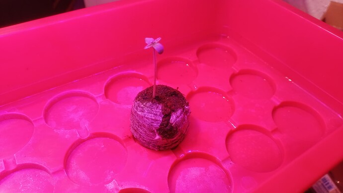 Growreport Bild 10