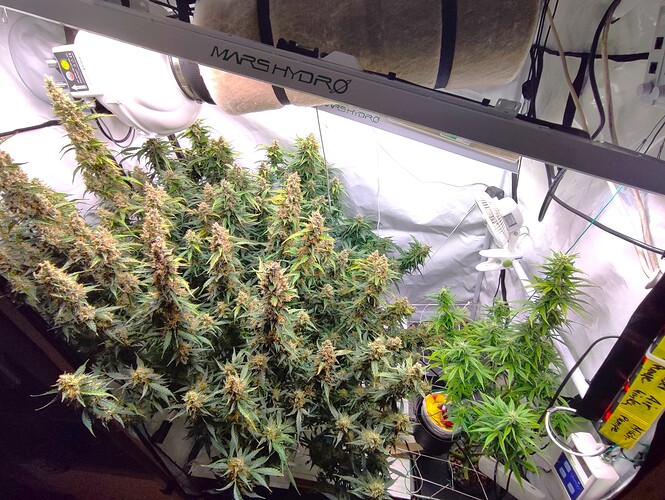 Growreport Bild 42