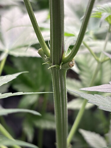 Growreport Bild 26