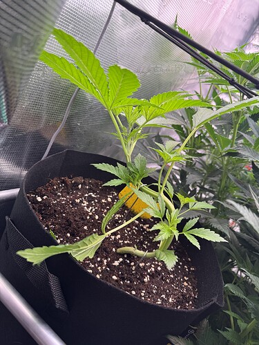Growreport Bild 23