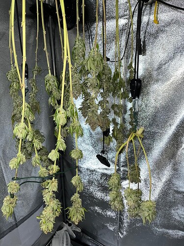 Growreport Bild 8