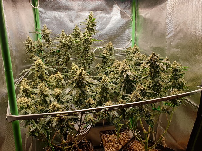 Growreport Bild 2