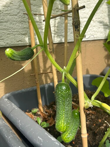 Growreport Bild 26