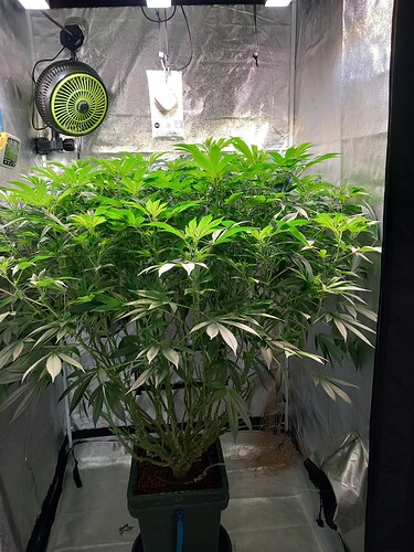 Growreport Bild 20