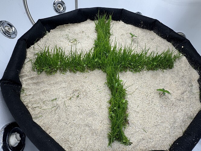 Growreport Bild 6