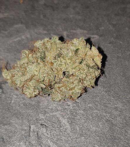 Growreport Bild 4