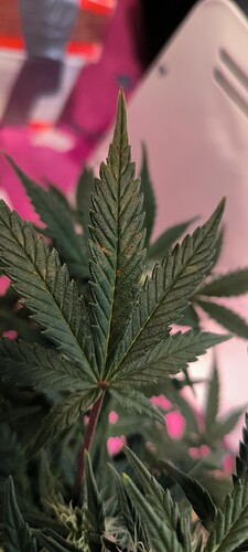 Growreport Bild 6