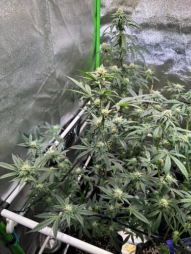 Growreport Bild 17