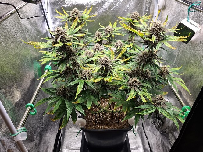 Growreport Bild 21