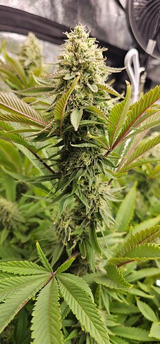 Growreport Bild 10