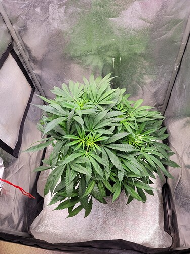 Growreport Bild 11