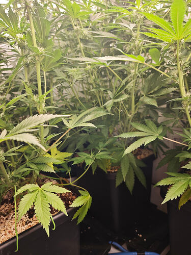 Growreport Bild 15