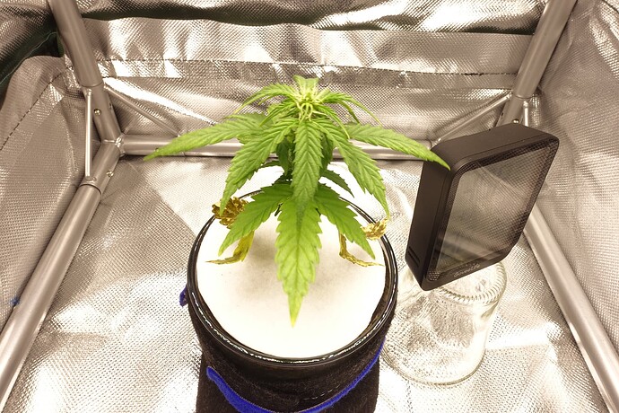 Growreport Bild 2