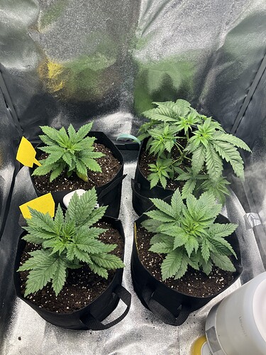 Growreport Bild 17