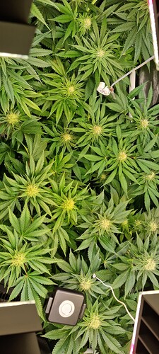 Growreport Bild 12