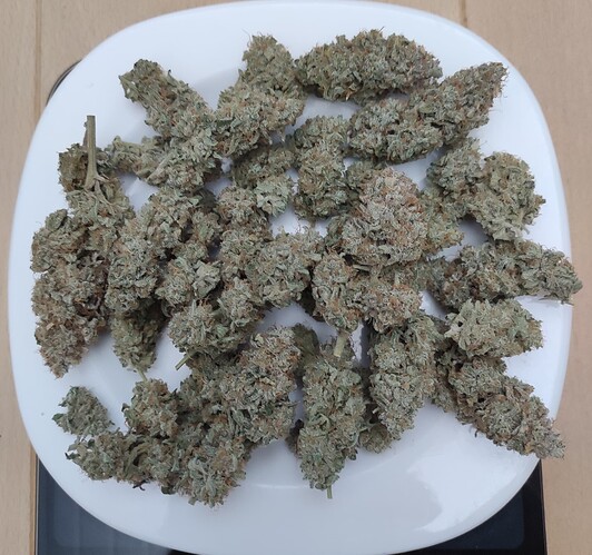 Growreport Bild 4