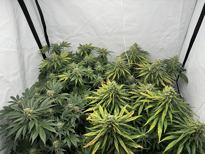 Growreport Bild 7