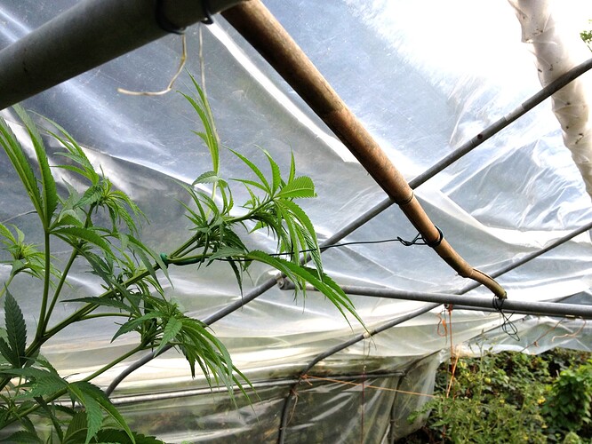 Grow24_0916_JD-BT1_04