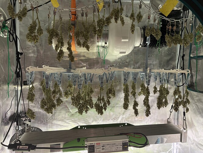 Growreport Bild 6