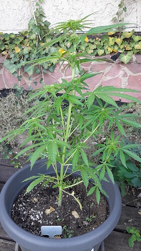 Growreport Bild 9