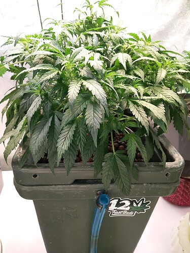 Growreport Bild 13