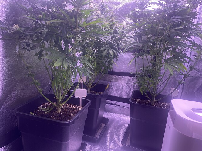 Growreport Bild 6