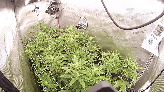 Growreport Bild 1