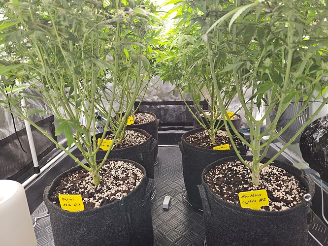 Growreport Bild 9
