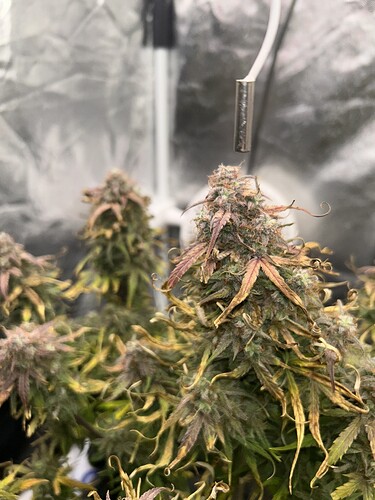 Growreport Bild 4