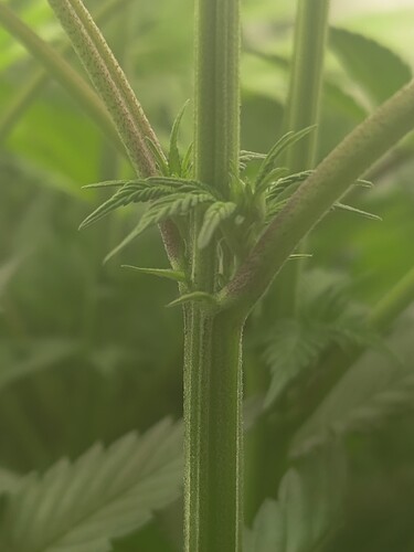 Growreport Bild 15
