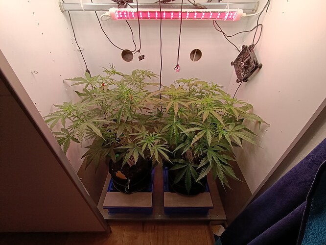 Growreport Bild 34