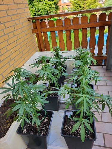 Growreport Bild 10