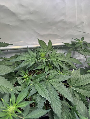 Growreport Bild 10
