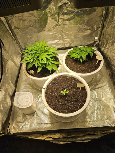 Growreport Bild 44