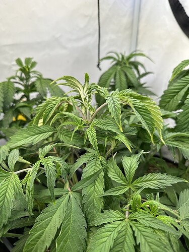 Growreport Bild 3