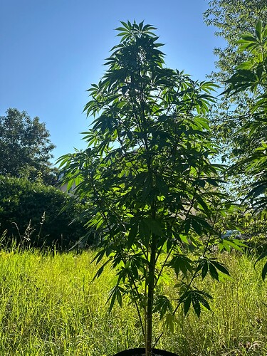 Growreport Bild 12