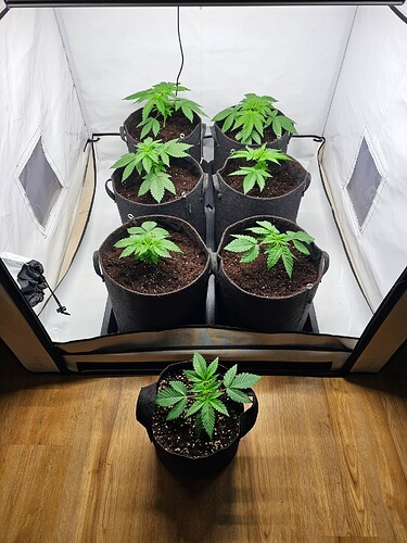 Growreport Bild 8