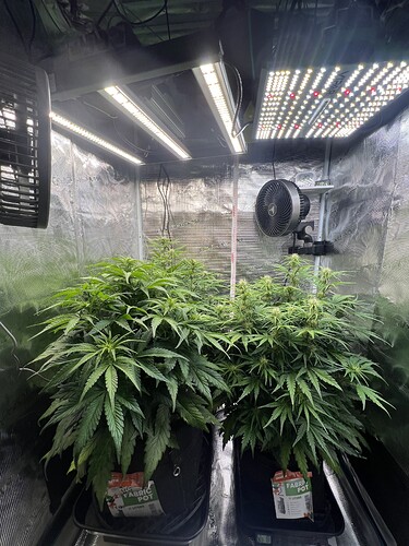 Growreport Bild 16