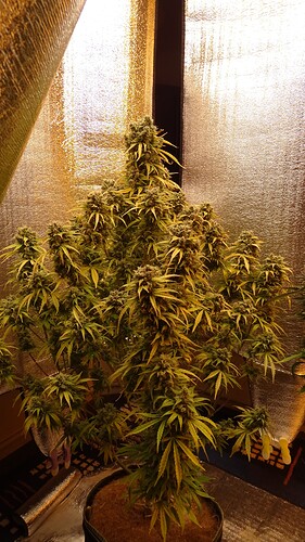 Growreport Bild 6
