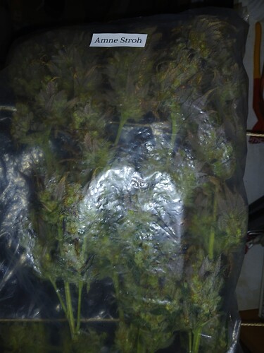 Growreport Bild 12