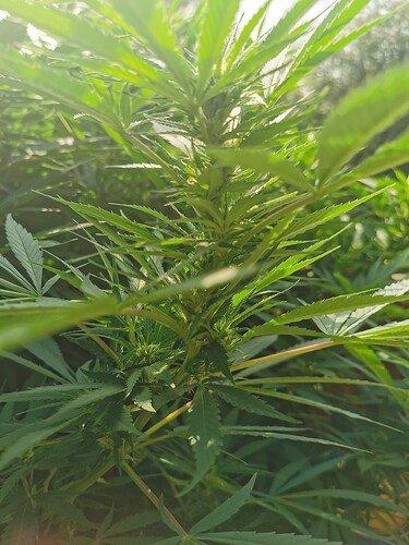 Growreport Bild 17