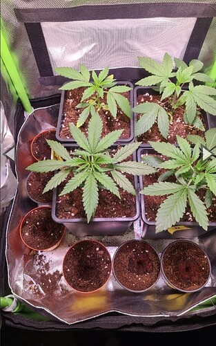 Screenshot_20240216_175213