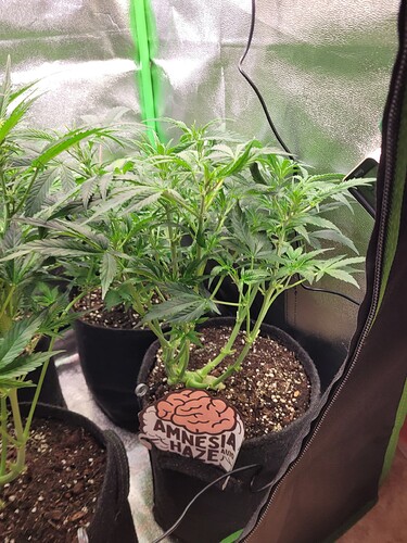 Growreport Bild 10