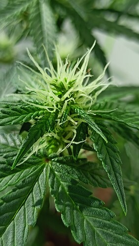 Growreport Bild 9
