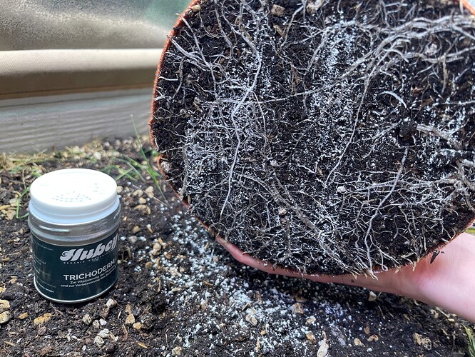 Growreport Bild 33