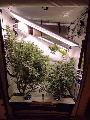 Growreport Bild 54