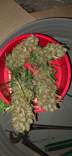 Growreport Bild 35